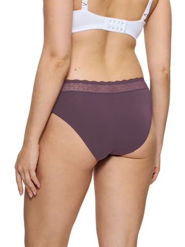 Triumph Figi w kolorze ciemnofioletowym