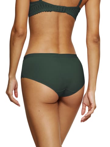 Triumph Panty in Dunkelgrün