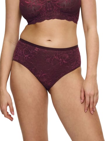 Triumph Taillenpanty in Bordeaux