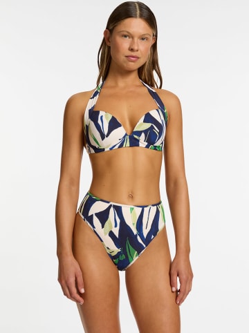 Jets Bikini-Oberteil in Dunkelblau