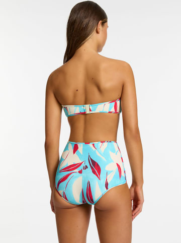 Jets Bikini-Oberteil in Hellblau