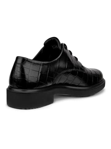 Ecco Leder-Schnürschuhe in Schwarz