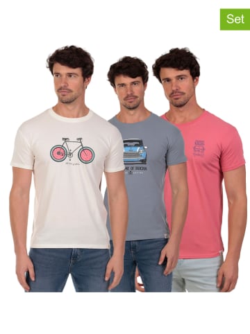 The Time of Bocha 3er-Set: Shirts in Bunt