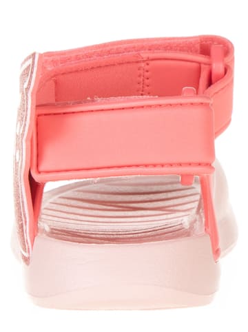 Puma Sandalen "DIVECAT V2" in Rosa