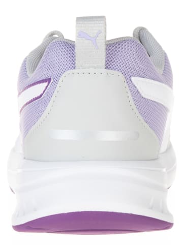 Puma Sneakers "Evolve Run Mesh" grijs/paars