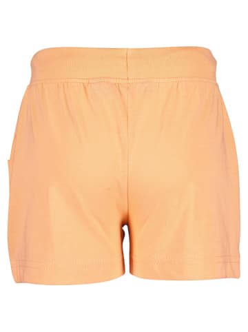 Blue Seven Shorts in Orange