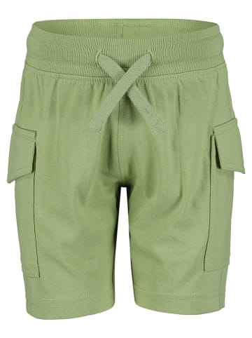 Blue Seven Shorts in Grün