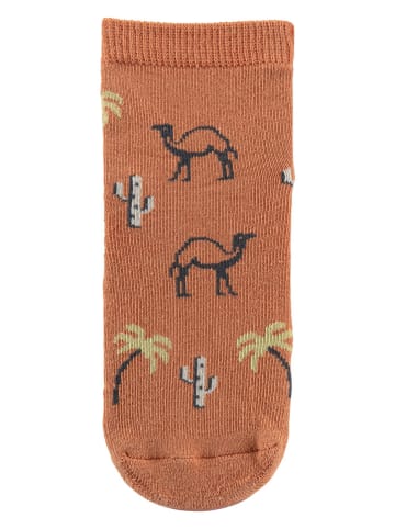 Sterntaler Skarpety antypoślizgowe "Camel" w kolorze pomarańczowym