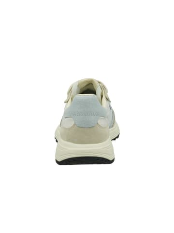 GANT Footwear Leder-Sneakers "Beywin" in Beige/ Weiß/ Hellblau