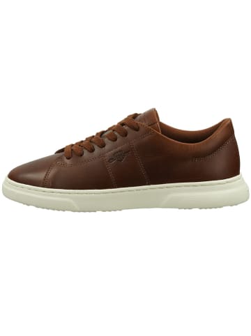 GANT Footwear Leder-Sneakers "Joree" in Braun