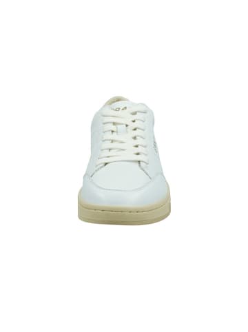 GANT Footwear Leder-Sneakers "Prepus" in Weiß