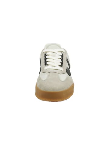 GANT Footwear Leder-Sneakers "Baylle" in Beige/ Schwarz