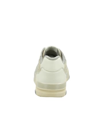 GANT Footwear Leder-Sneakers "Brookpal" in Beige/ Weiß