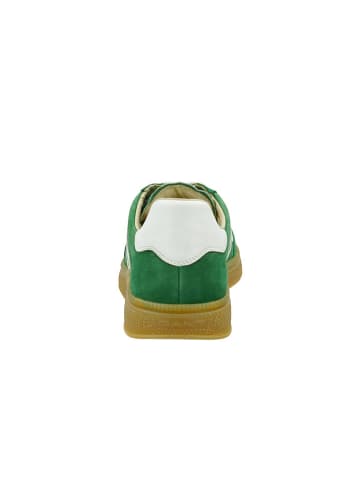 GANT Footwear Leder-Sneakers "Cuzmo" in Grün