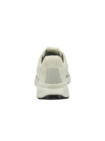 GANT Footwear Sneakers "Beeker" in Creme