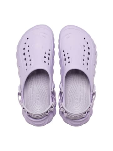 Crocs Chodaki "Echo" w kolorze fioletowym