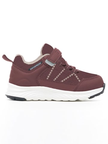 Exani Sneakers "Riley" in Braun