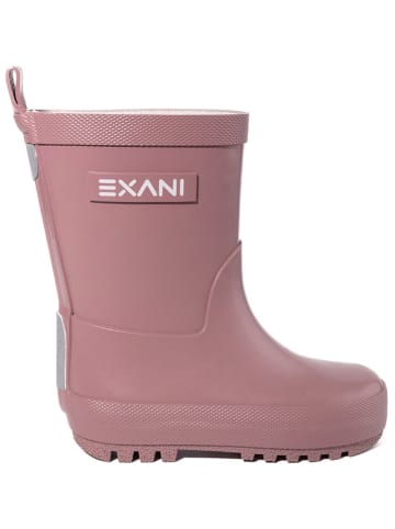 Exani Gummistiefel in Altrosa