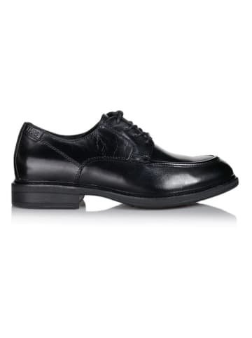 Tamaris Leder-Schnürschuhe in Schwarz