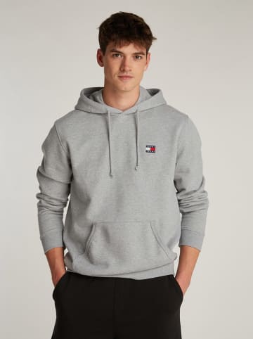 Tommy Hilfiger Hoodie in Grau