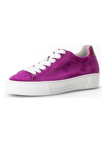 Gabor Leder-Sneakers in Lila