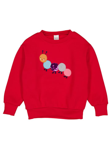 Fred´s World by GREEN COTTON Sweatshirt "Caterpillar" in Rot
