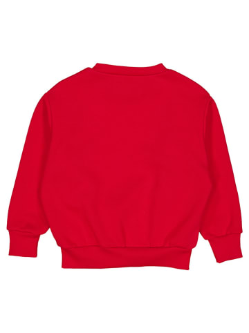 Fred´s World by GREEN COTTON Sweatshirt "Caterpillar" in Rot