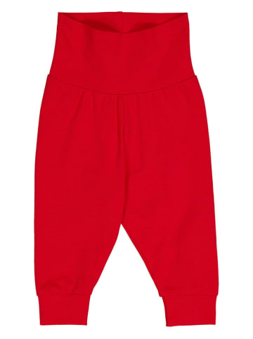Fred´s World by GREEN COTTON Sweathose "Alfa funky" in Rot