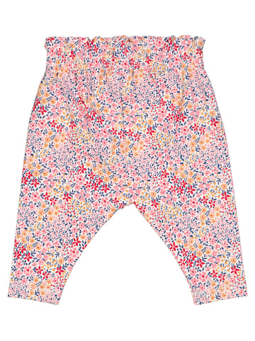 Fred´s World by GREEN COTTON Sweathose "Bloom" in Bunt