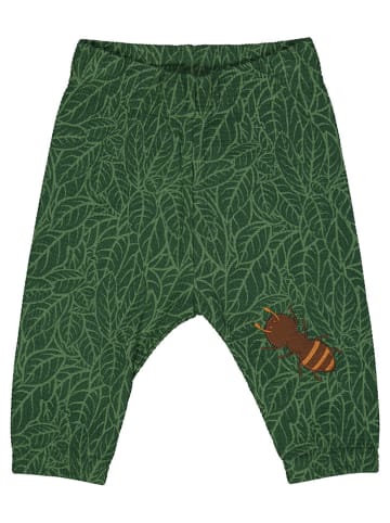 Fred´s World by GREEN COTTON Sweathose "Leaf" in Grün