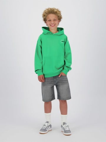 RAIZZED® Hoodie groen
