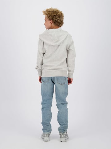 RAIZZED® Sweatvest lichtgrijs