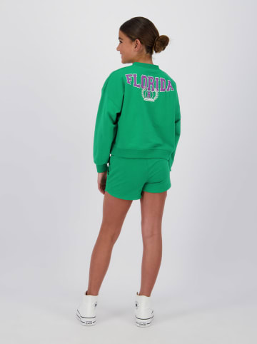 RAIZZED® Sweatshirt in Grün
