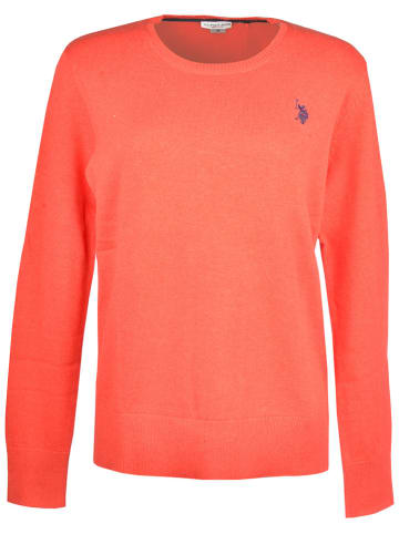 U.S. Polo Assn. Trui oranje