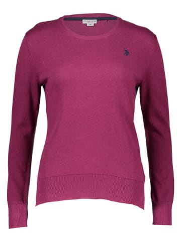 U.S. Polo Assn. Pullover in Aubergine