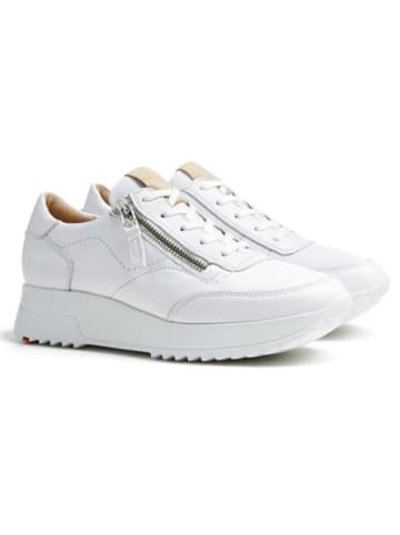 LLOYD Leder-Sneakers in Weiß