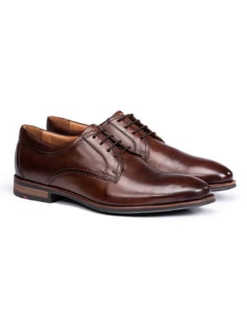 LLOYD Leder-Schnürschuhe "Mare" in Braun