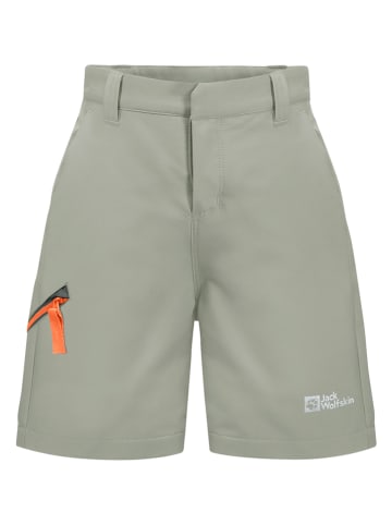 Jack Wolfskin Funktionsshorts "Turbulence" in Salbei