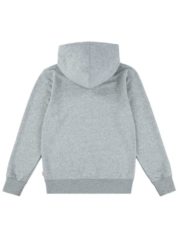 Levi's Kids Hoodie in Grau