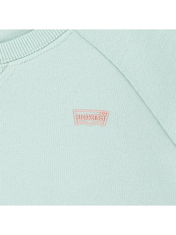 Levi's Kids Sweatshirt mintgroen