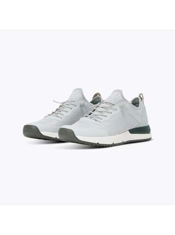 Tropicfeel Sneakersy "Canyon" w kolorze szarym