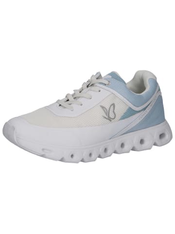 Caprice Sneakers wit/lichtblauw