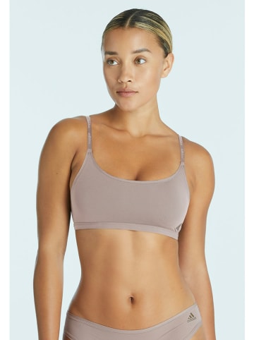 adidas Bustier in Beige