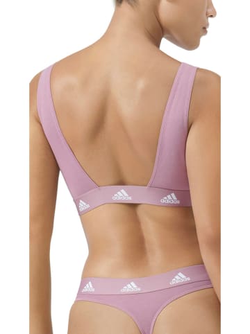 adidas Bustier paars