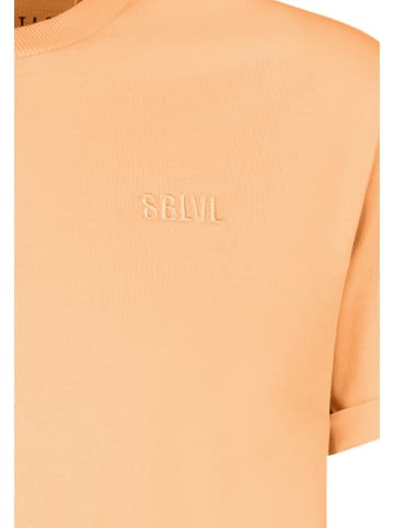 Sublevel Shirt in Orange