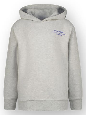 RAIZZED® Hoodie "Navin" in Hellgrau