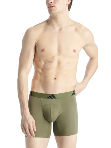 adidas 2-delige set: boxershorts kaki/zwart