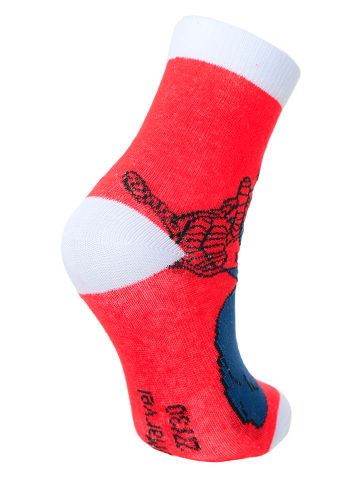 Spiderman 3-delige set: sokken "Spiderman" rood/wit