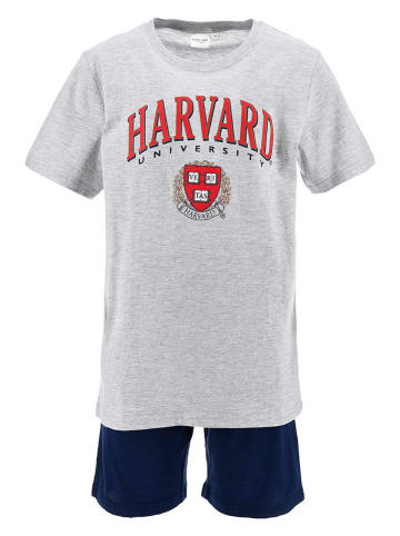 Harvard Pyjama "Havard" in Hellgrau/ Dunkelblau