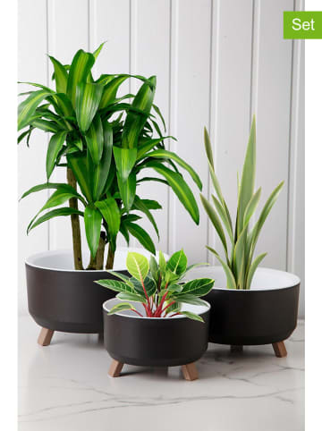 FLORIANE GARDEN 3-delige set: vazen zwart